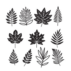 set of silhouettes leaves icon vector illustration design. 