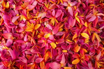 Saffron texture background, crocus sativus flowers pattern, dry herbal petals banner, aromatic herbs