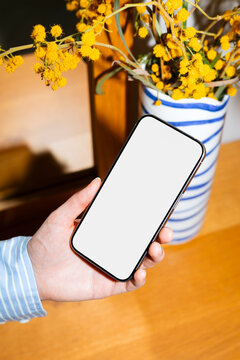 Modern Mobile Mockup White Screen and Spring Flowers, with flash