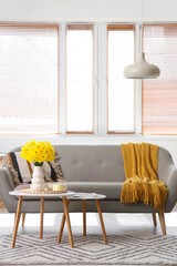 Grey sofa, coffee table and vase of narcissus flowers in beautiful living room