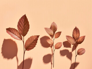 autumn leaves and shadows on peach wall
