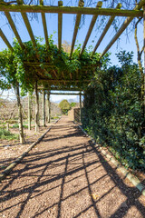 Dirt walkway in the park with areas covered in wooden beams and plant vine growing over it. Concept for diminishing perspective. 