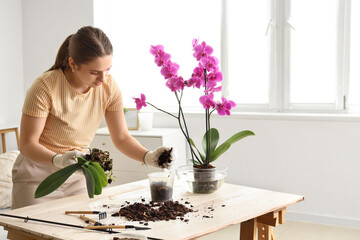 Female florist planting orchid flower at home