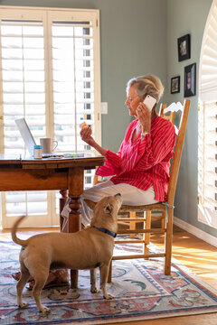Senior  ordering refill on mobile phone with pet dog 