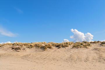 Sand dunes with grass on top