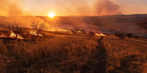 Grass fire burning through a field with smoke rising at sunset.  Natural disaster concept. Design for environmental awareness campaigns. Banner with copy space.