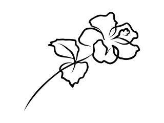 Hibiscus flower in one continuous line drawing. Floral abstract symbol in simple linear style. Organic red herbal tea concept in editable stroke. Doodle outline vector illustration
