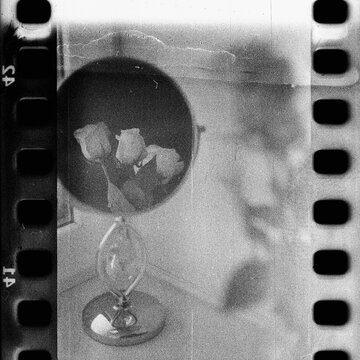 Roses reflected in a mirror