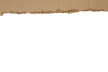 torn cardboard torn edge texture border 