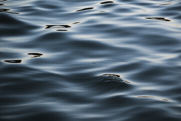 Blue calm moving lake water