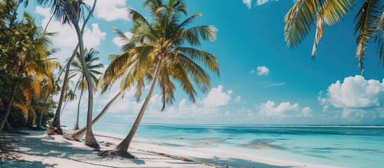Naklejka premium Captivating Beach Setting: Tall Palm Trees, White Sand, and Tropical Vibes Under the Summer Sun