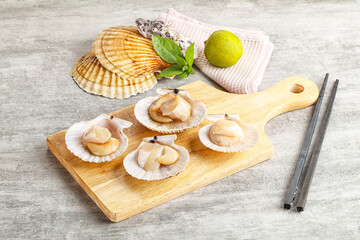 Raw natural scallop in its shell