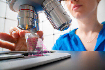young female laboratory assistant installs a slide glass into a microscope