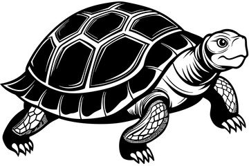 Tortoise Silhouette ,icon,vector