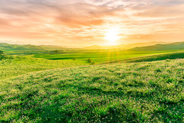 panoramic spring season landscape of beautiful greel field with yellow and salad hills and mountains in countryside