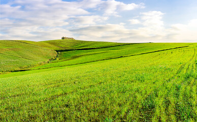 Fototapeta premium Countryside farm landscape of green field grassland in spring pr summer season with green fresh grass and beautiful sunset or sunrise cloudy sky on background