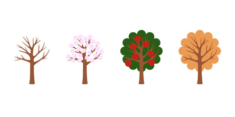 Apple tree, Vector Set, Seasons, Simple vector illustration
