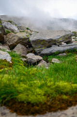 mountain river in the mountains uludag, bursa