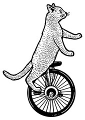 unicycle cartoon circus cat sketch engraving PNG illustration. T-shirt apparel print design. Scratch board imitation. Black and white hand drawn image.