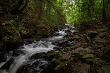 A small waterfall cascades through a forest on the Track and Tower Trail in Algonquin Park, Ontario.