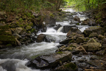 A small waterfall cascades through a forest on the Track and Tower Trail in Algonquin Park, Ontario.