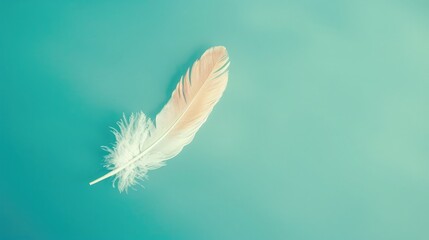 Feather floating on a bright teal background, copyspace