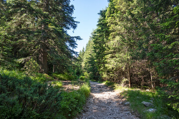 Fototapeta premium Landscape of Rila Mountain near Malyovitsa peak, Bulgaria