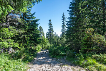 Landscape of Rila Mountain near Malyovitsa peak, Bulgaria