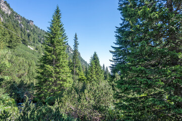 Landscape of Rila Mountain near Malyovitsa peak, Bulgaria
