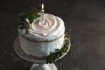Tasty Birthday cake with burning candle and eucalyptus branches on grey table, closeup. Space for text