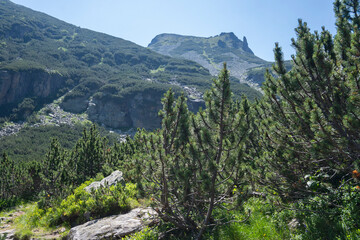 Fototapeta premium Landscape of Rila Mountain near Malyovitsa peak, Bulgaria