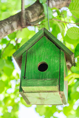 A cute green wooden bird box on a tree, close up, outdoor photography