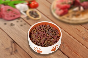 Bowl with tasty dry food for domestic pet
