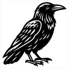 Obraz premium Crow black outline illustration.