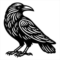 Fototapeta premium Crow black outline illustration.