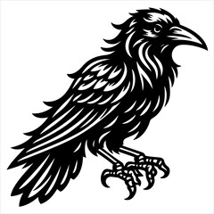 Obraz premium Crow black outline illustration.