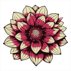 Fototapeta premium Dahlia flower black outline illustration.