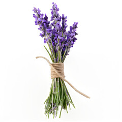 Fototapeta premium Fresh Lavender Flowers