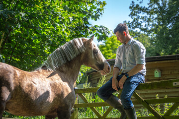 Man with a horse, Image shows a 28 year old male sitting on a wooden gate with a palomino section D...
