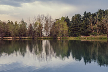 Fototapeta premium The image of the trees is reflected on the slightly undulating lake surface. Nature park view.