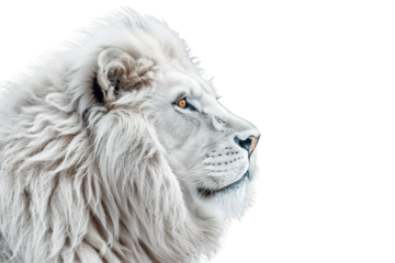 Side view white lion head isolated on transparent background ,generative ai