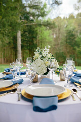 Elegant outdoor table setting with blue accents and white floral centerpiece.

