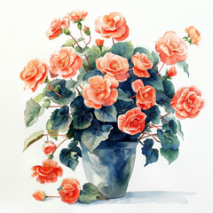 Obraz premium A detailed watercolor painting of peach begonias in a vase, showcasing vibrant flowers and lush green leaves.