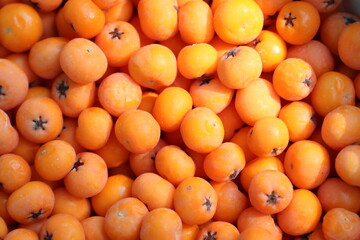 A selection of ripe, orange persimmons showcasing freshness and abundance in a colorful display