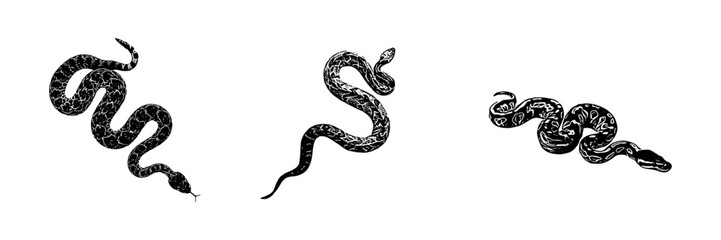  silhouette illustration  background for a snake day