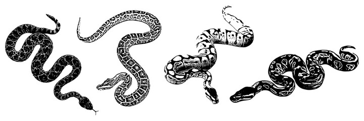  silhouette illustration  background for a snake day