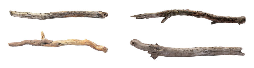 Many dry tree branches isolated on white, set