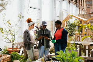 Female and male environmentalists harvesting vegetables at urban farm