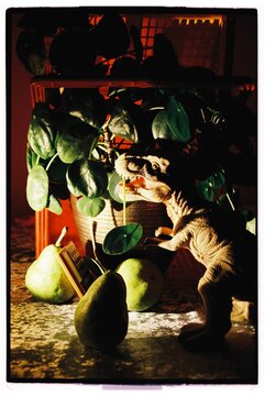 A toy dinosaur and pears.