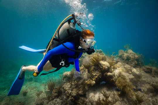 Scuba Diving in Caribbean at the Indians BVI